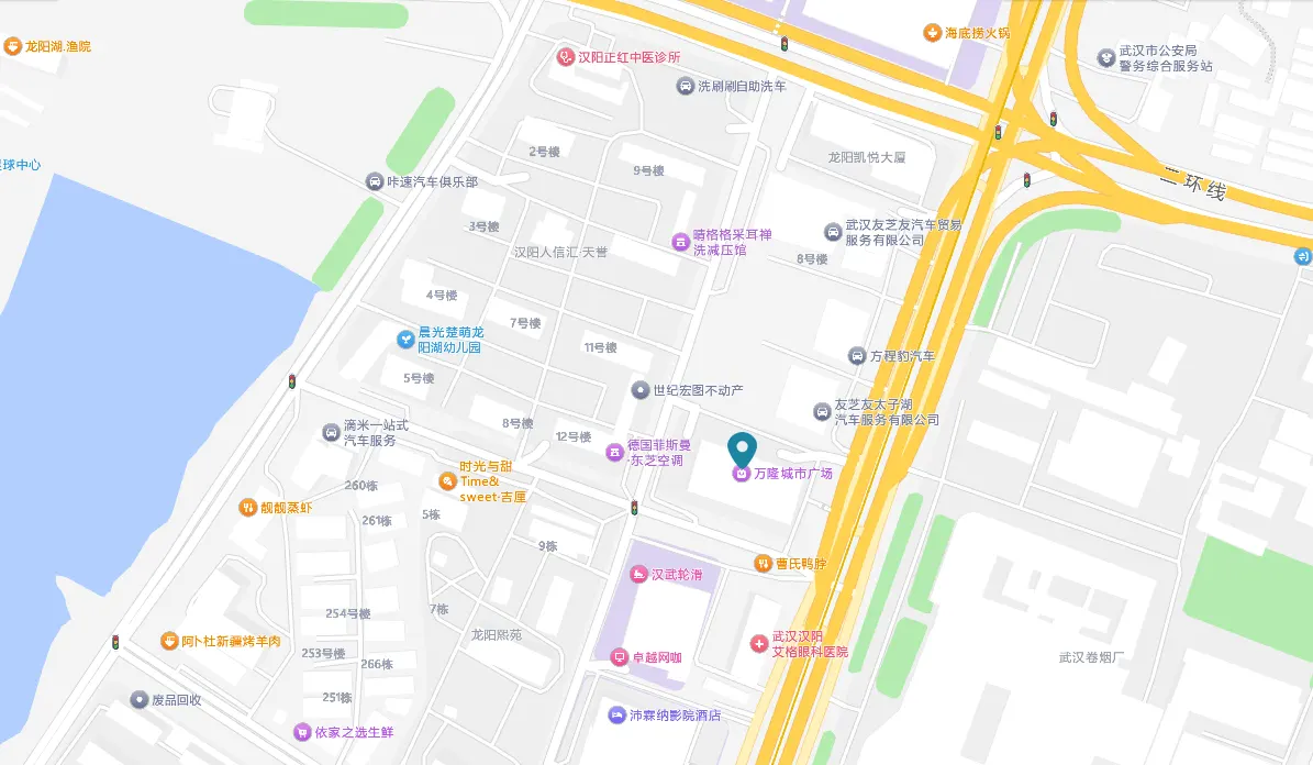 武汉思途医疗科技有限公司