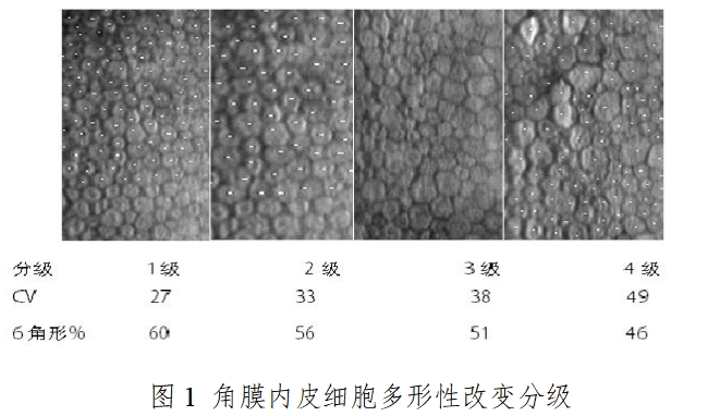 软性接触镜临床试验指导原则（2018年第51号）(图3)