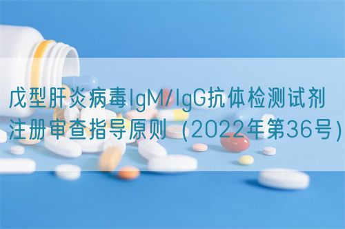 戊型肝炎病毒IgM/IgG抗体检测试剂注册审查指导原则（2022年第36号）(图1)