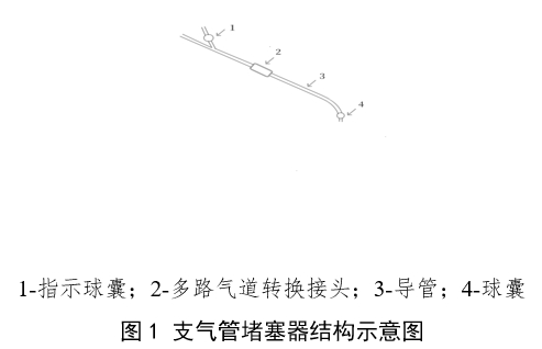 支气管堵塞器注册审查指导原则（2024年第19号）(图1)