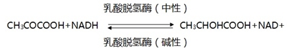 乳酸脱氢酶测定试剂盒注册审查指导原则（2024年修订版）（2024年第19号）(图1)