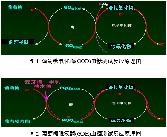 血糖仪注册审查指导原则（2024年修订版）（2024年第21号）(图1)