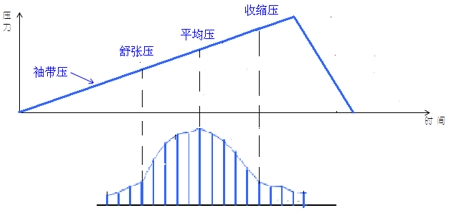 电子血压计（示波法）注册审查指导原则（2024年修订版）（2024年第21号）(图2)