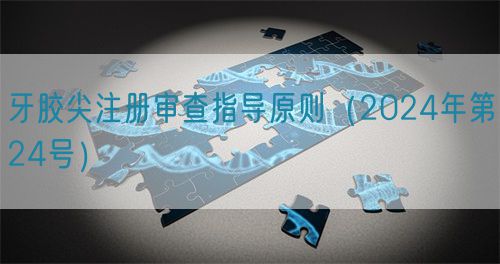 牙胶尖注册审查指导原则（2024年第24号）(图1)