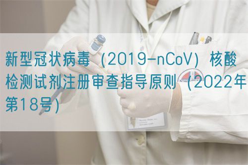 新型冠状病毒（2019-nCoV）核酸检测试剂注册审查指导原则（2022年第18号）(图1)