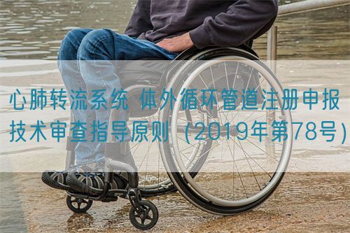 心肺转流系统 体外循环管道注册申报技术审查指导原则（2019年第78号）(图1)