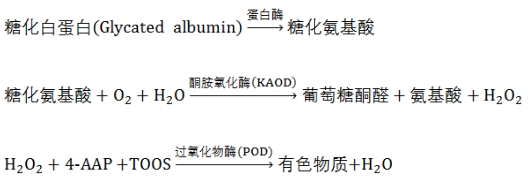 糖化白蛋白测定试剂注册技术审查指导原则（2020年第14号）(图3)