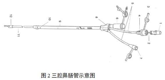 经鼻肠营养导管注册审查指导原则（2022年第41号）(图2)