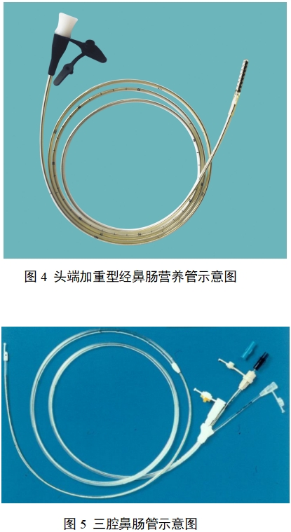 经鼻肠营养导管注册审查指导原则（2022年第41号）(图4)