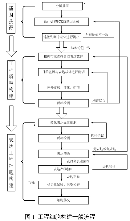 重组人源化胶原蛋白原材料评价指导原则（2023年第16号）(图3)