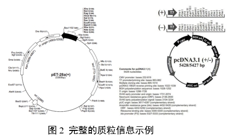 重组人源化胶原蛋白原材料评价指导原则（2023年第16号）(图6)