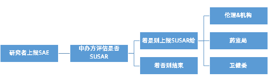 新版GCP的SAE/SUSAR上报流程(图2)