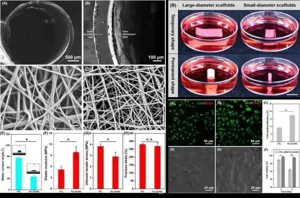 生物相容性是什么？如何准备生物相容性检测的样品？(图2)