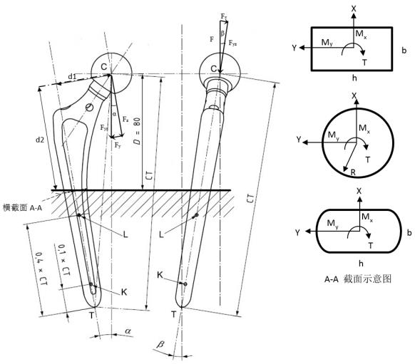 生物型股骨柄柄部疲劳性能评价指导原则（2020年第62号）(图3)