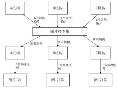 PD-L1检测试剂临床试验—结果重现性研究注册审查指导原则（2022年第27号）(图5)