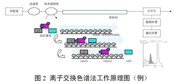 糖化血红蛋白分析仪注册审查指导原则（2022年第35号）(图2)